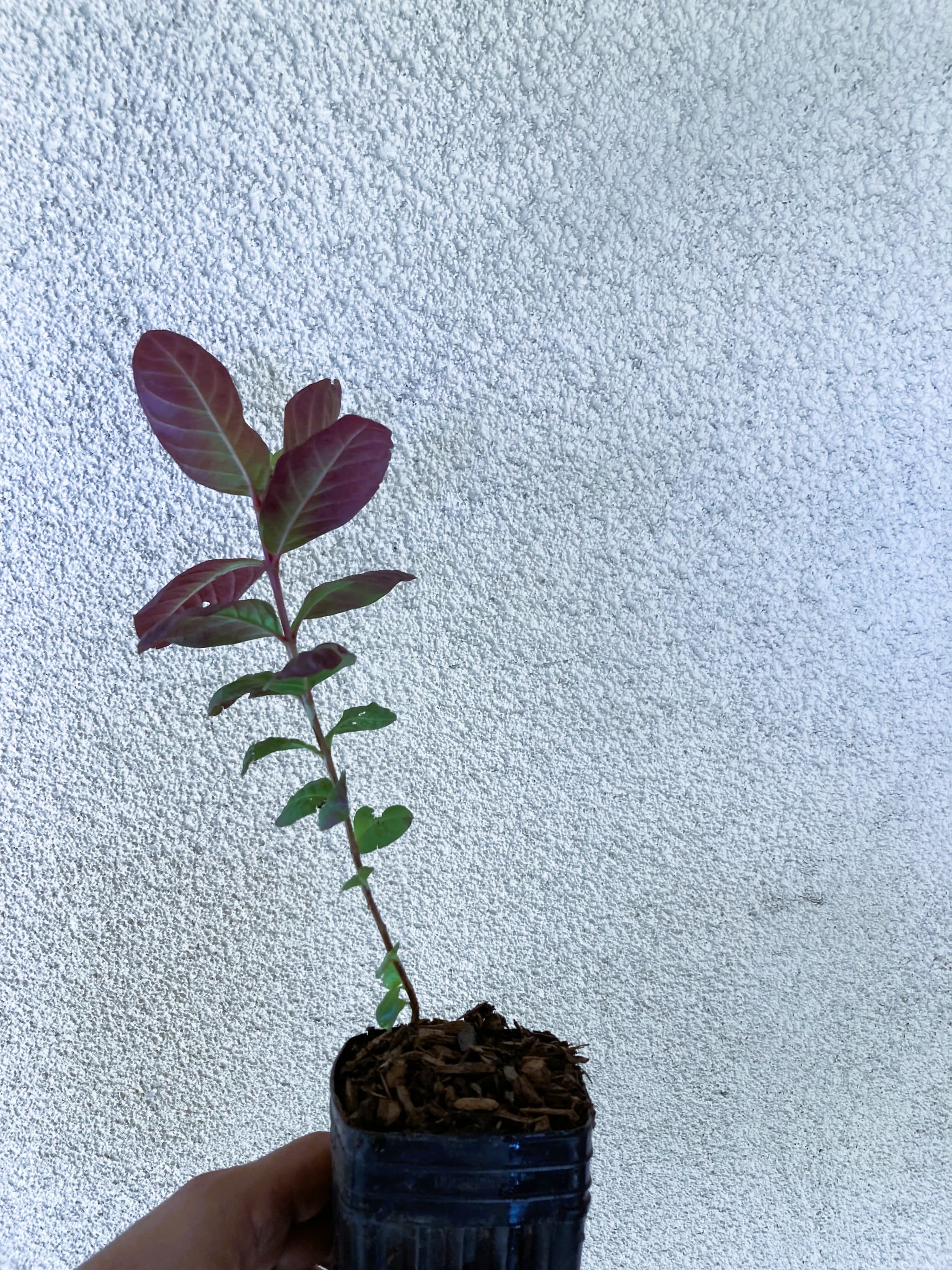 Product image #3