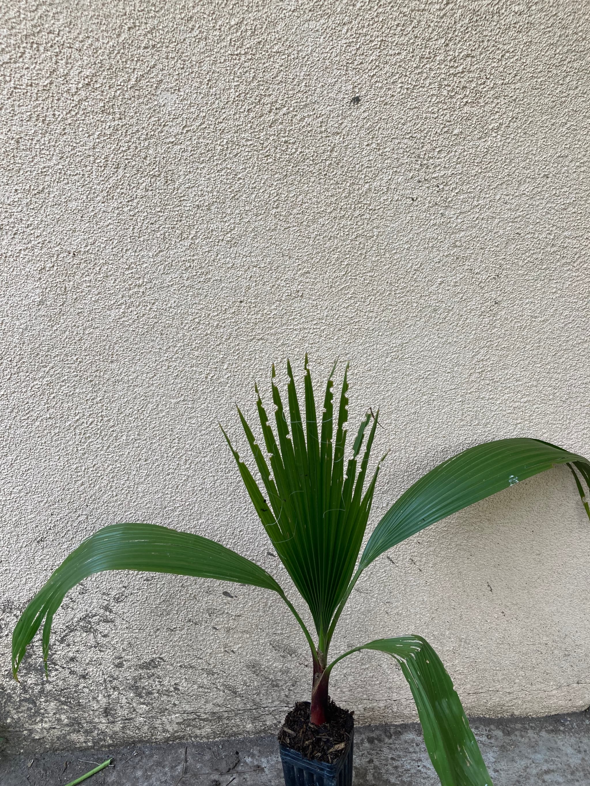 Product image #1
