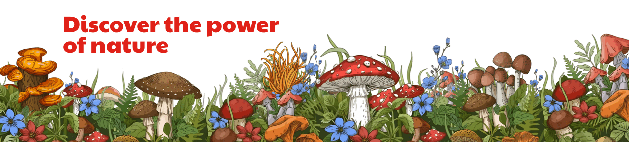 Supreme Mycology Company's banner
