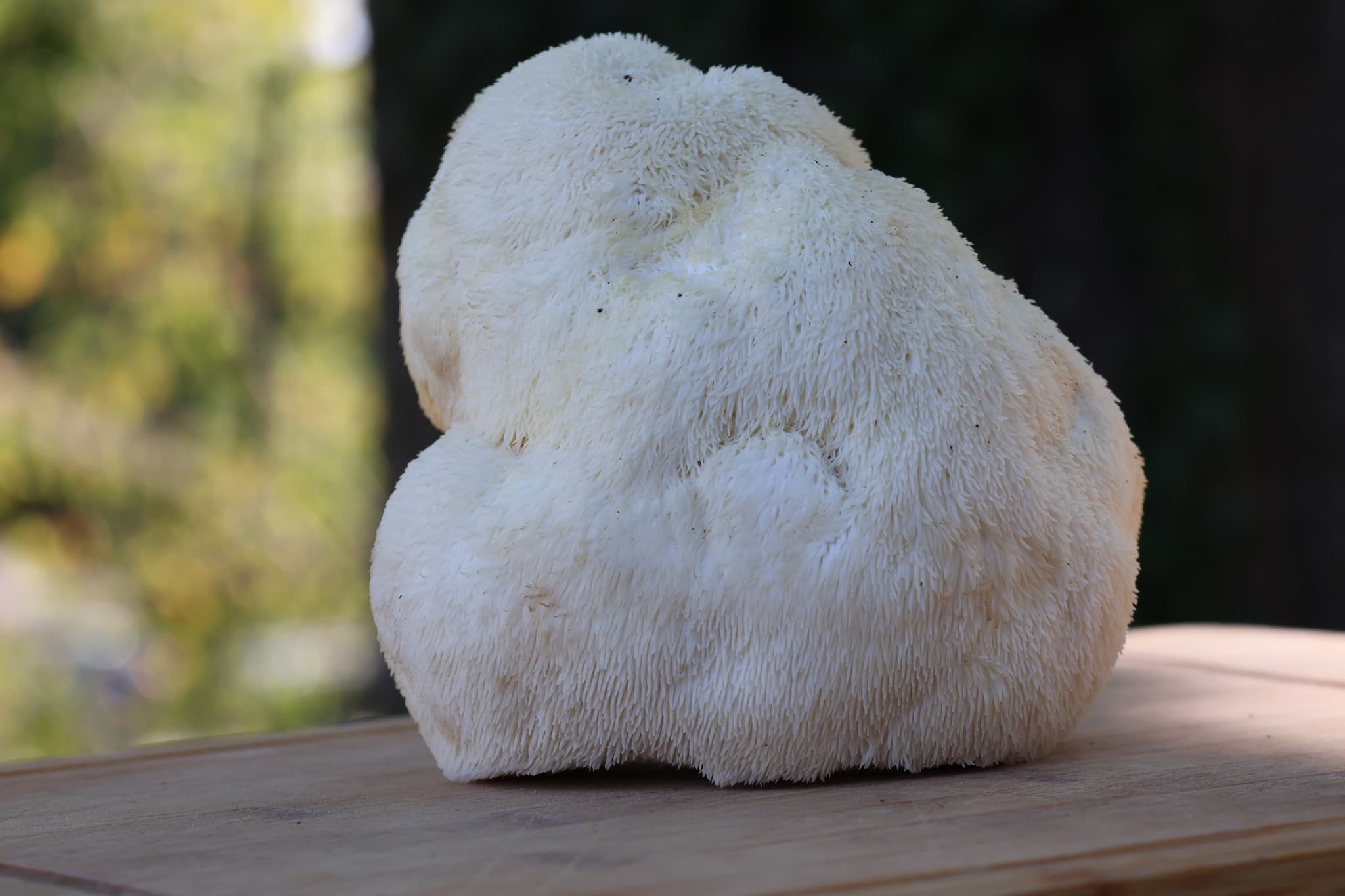 Product image #5