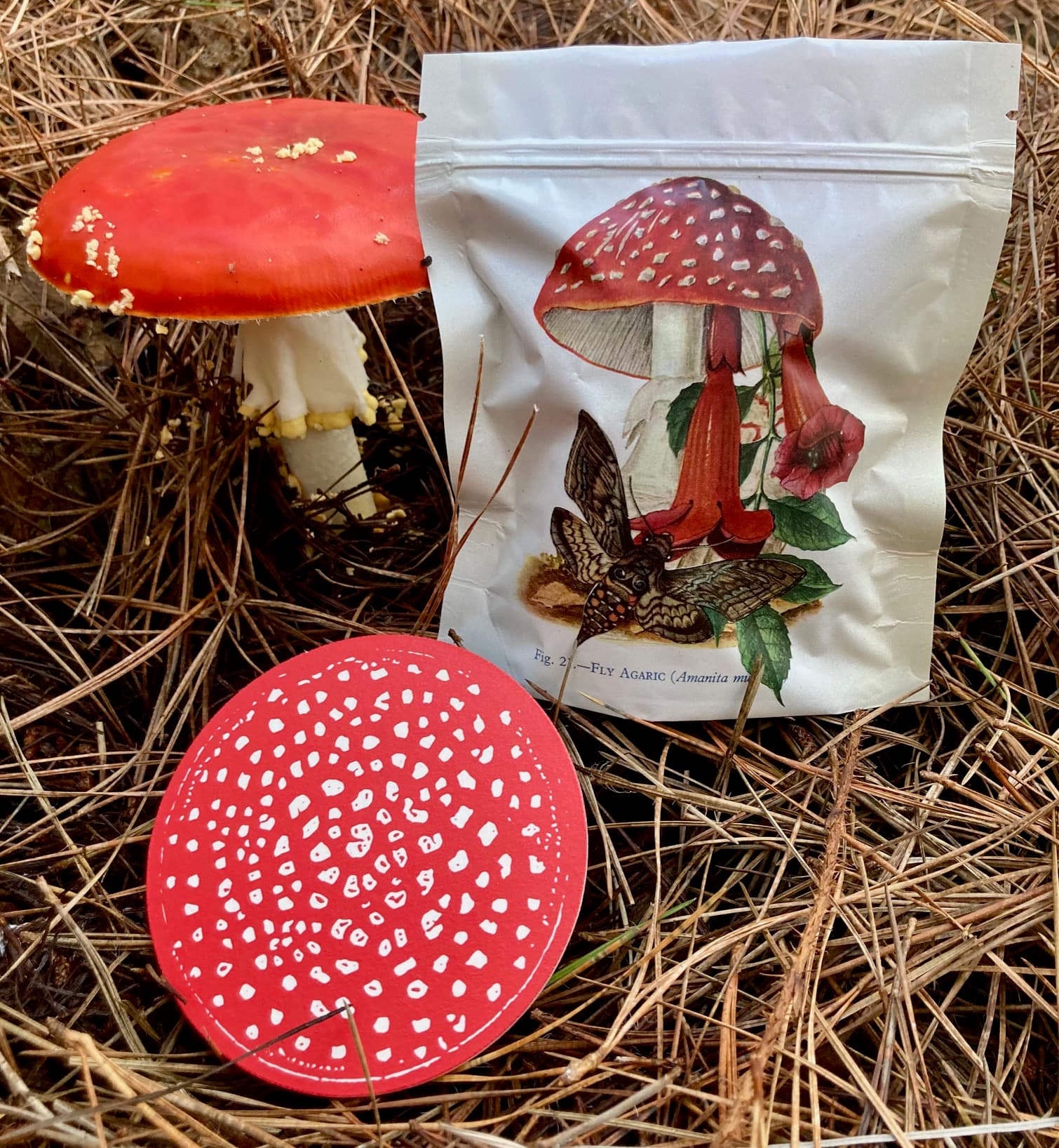 Product image #1