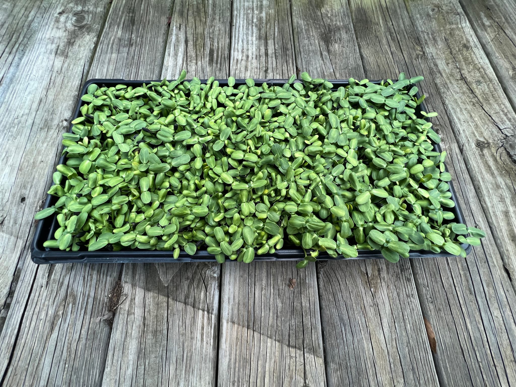 Product image #1