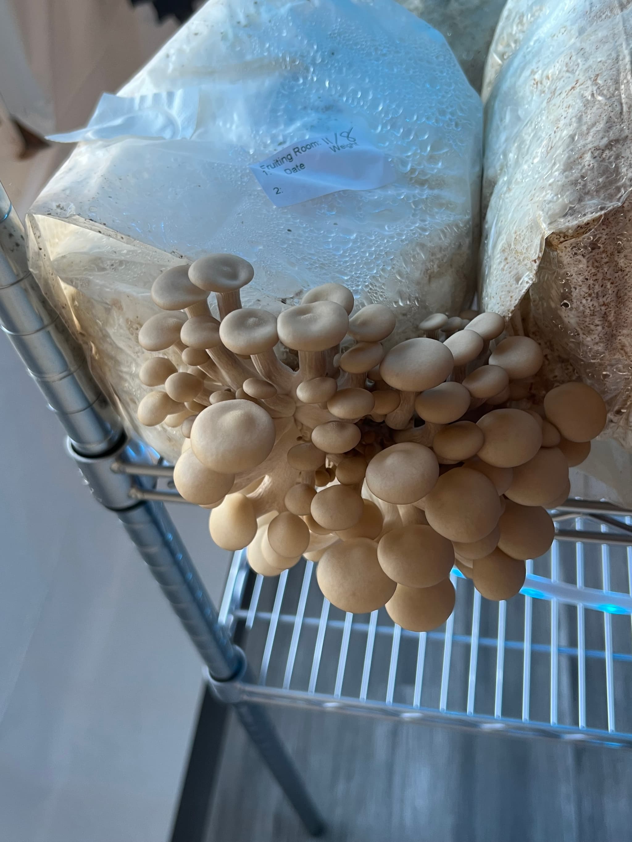 Product image #3