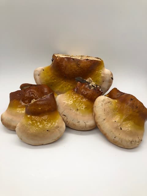Product image #3