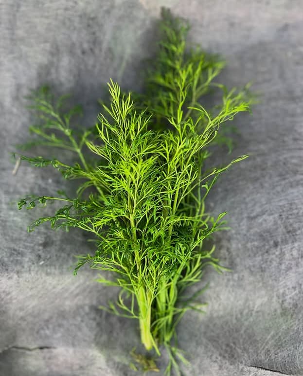 Product image #5