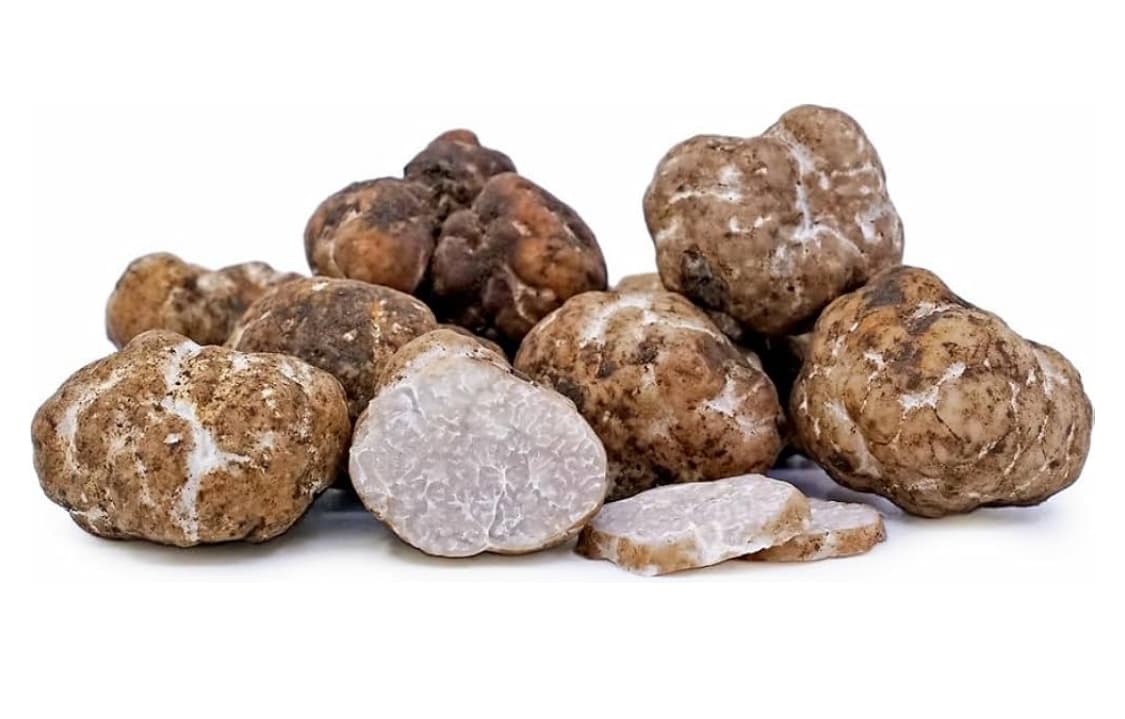FROZEN OREGON WHITE TRUFFLES (1 OZ) - TUBER OREGONENSE (DOG HARVESTED)
