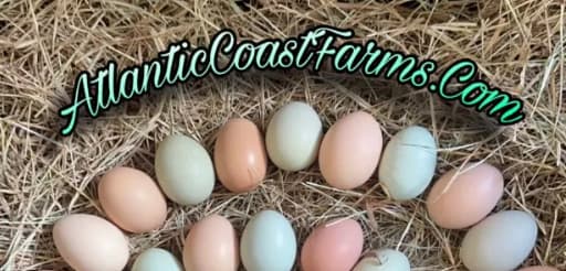 Atlantic Coast Farms's banner