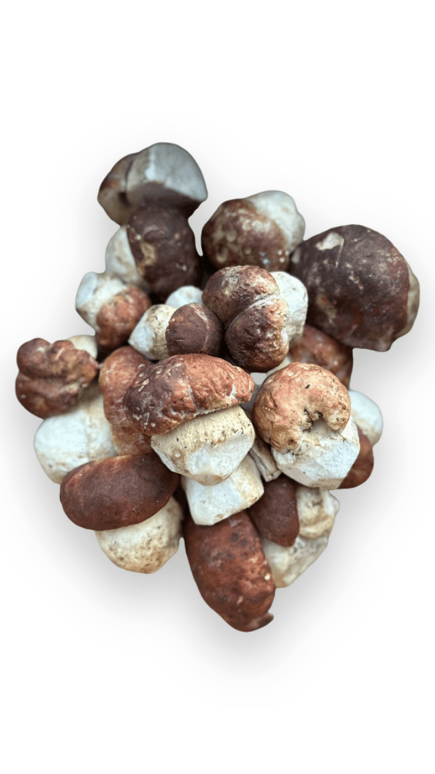 Product image #1