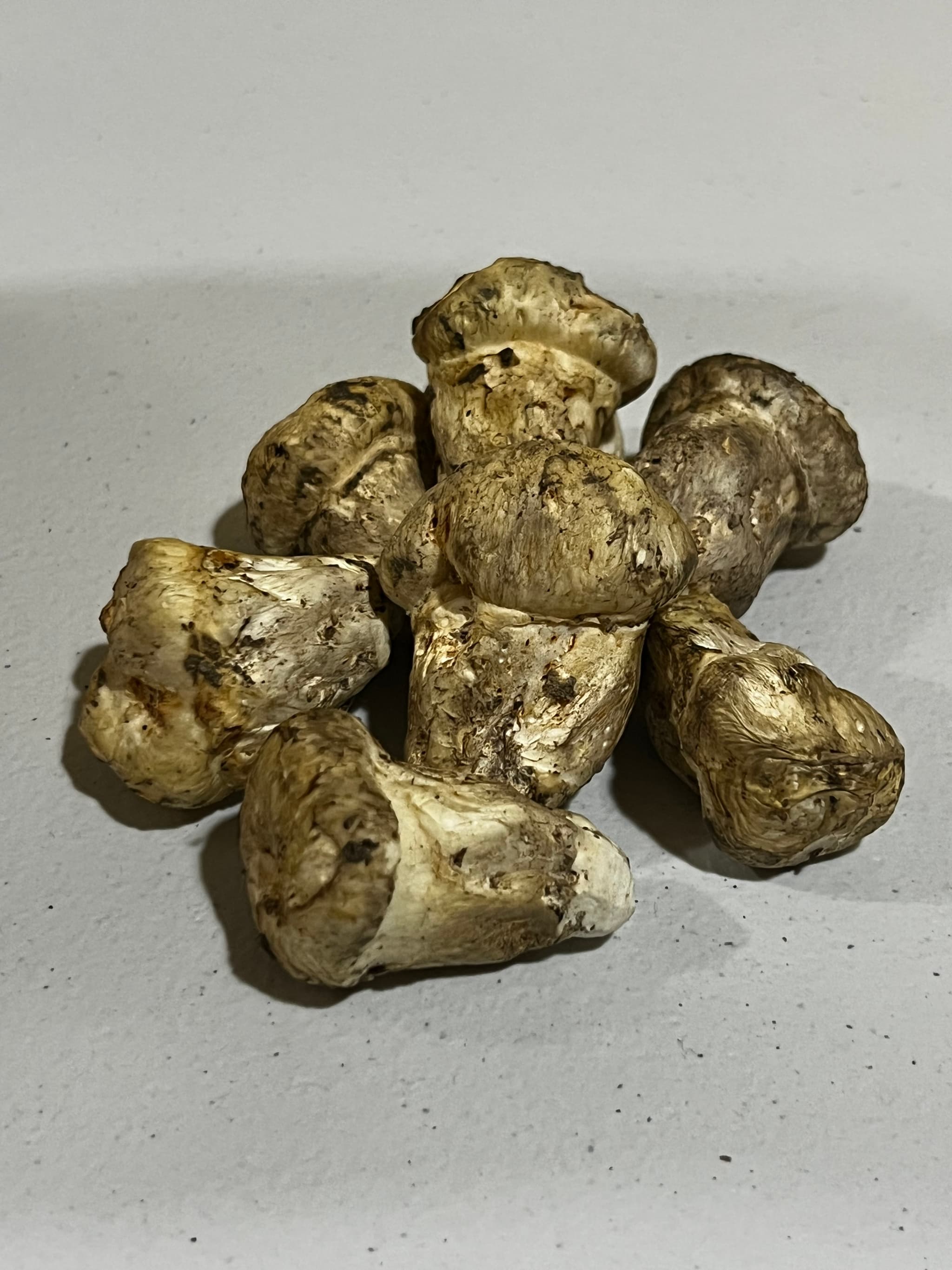 Product image #1