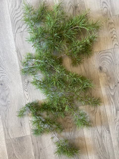 Product image #5