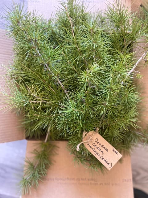Product image #6