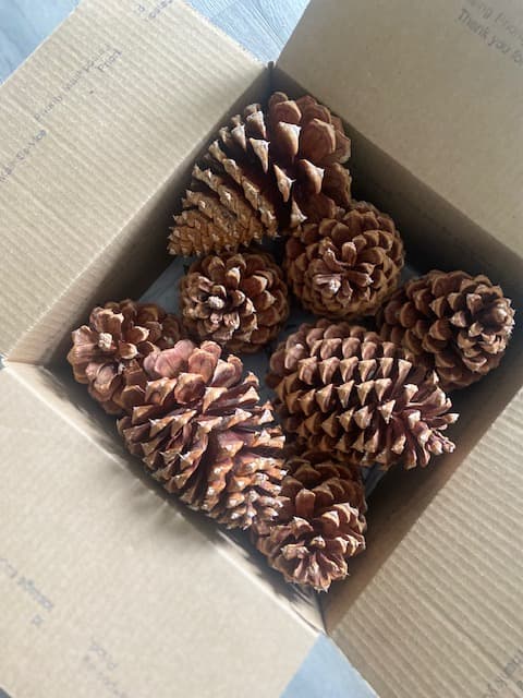 Product image #1