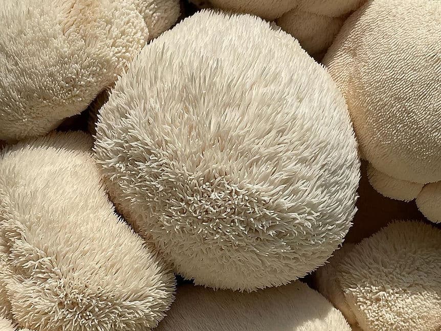 Product image #2
