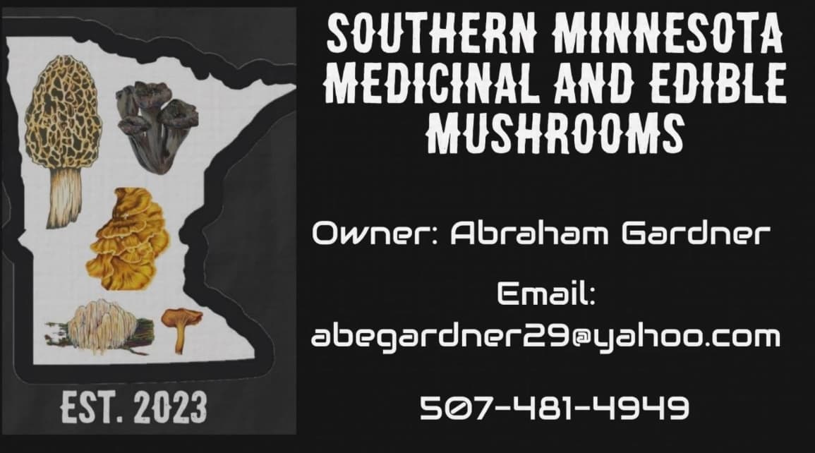 Southern Minnesota Medicinal and Edible Mushrooms 's banner