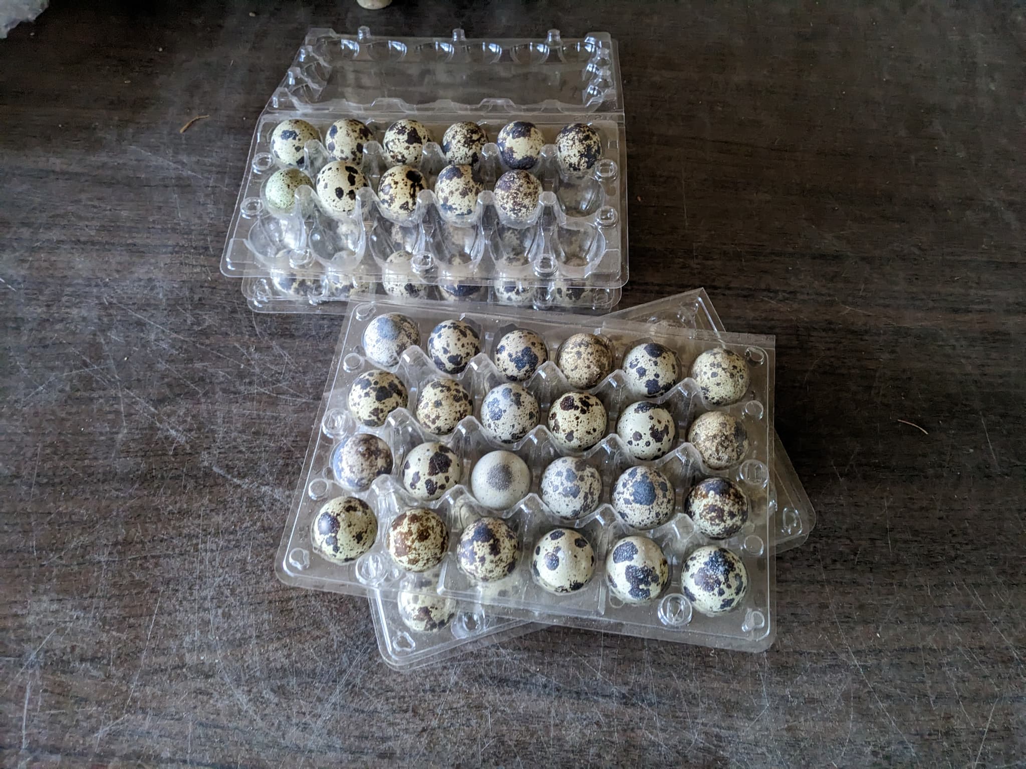 Product image #1