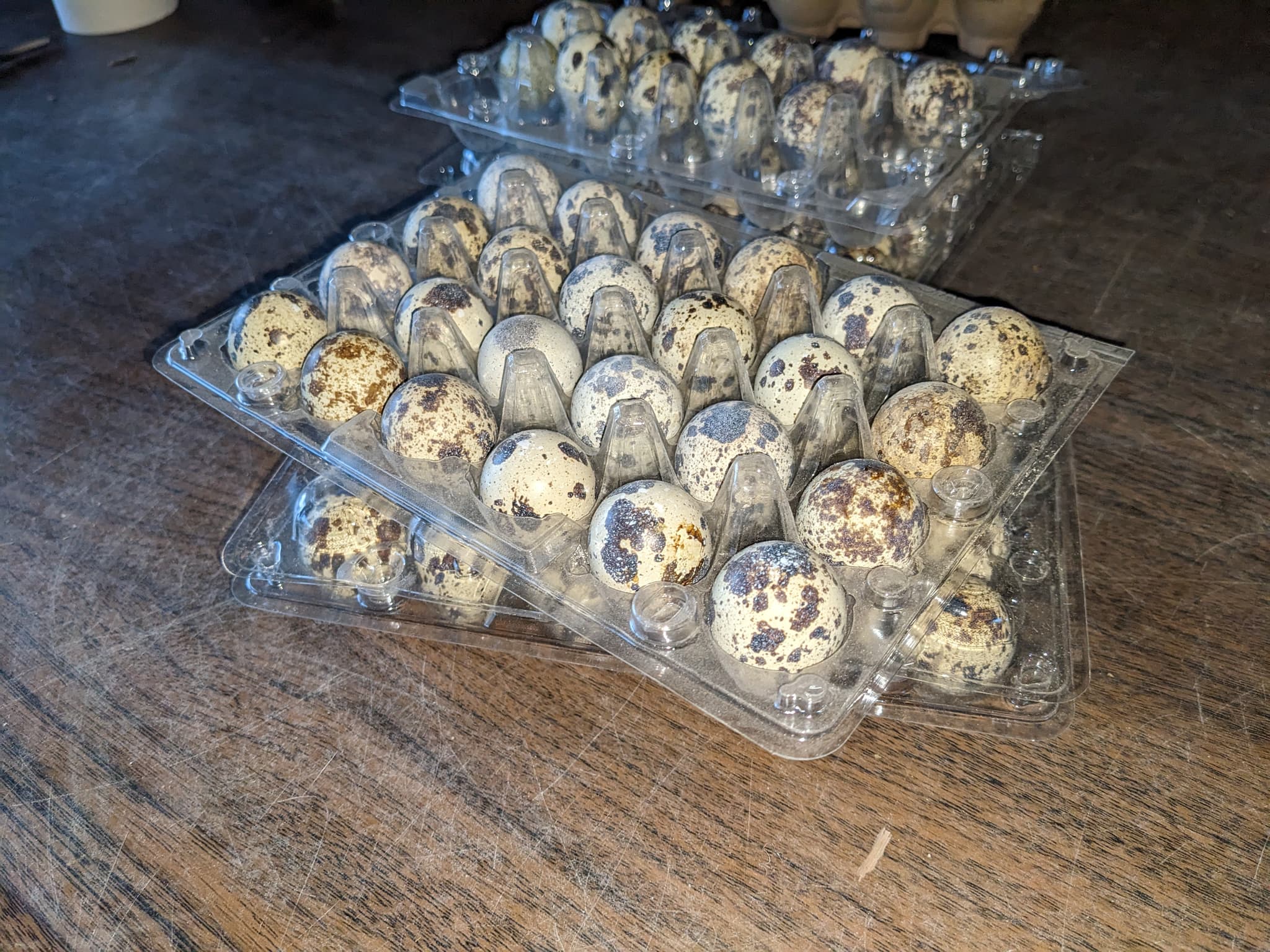 Product image #5