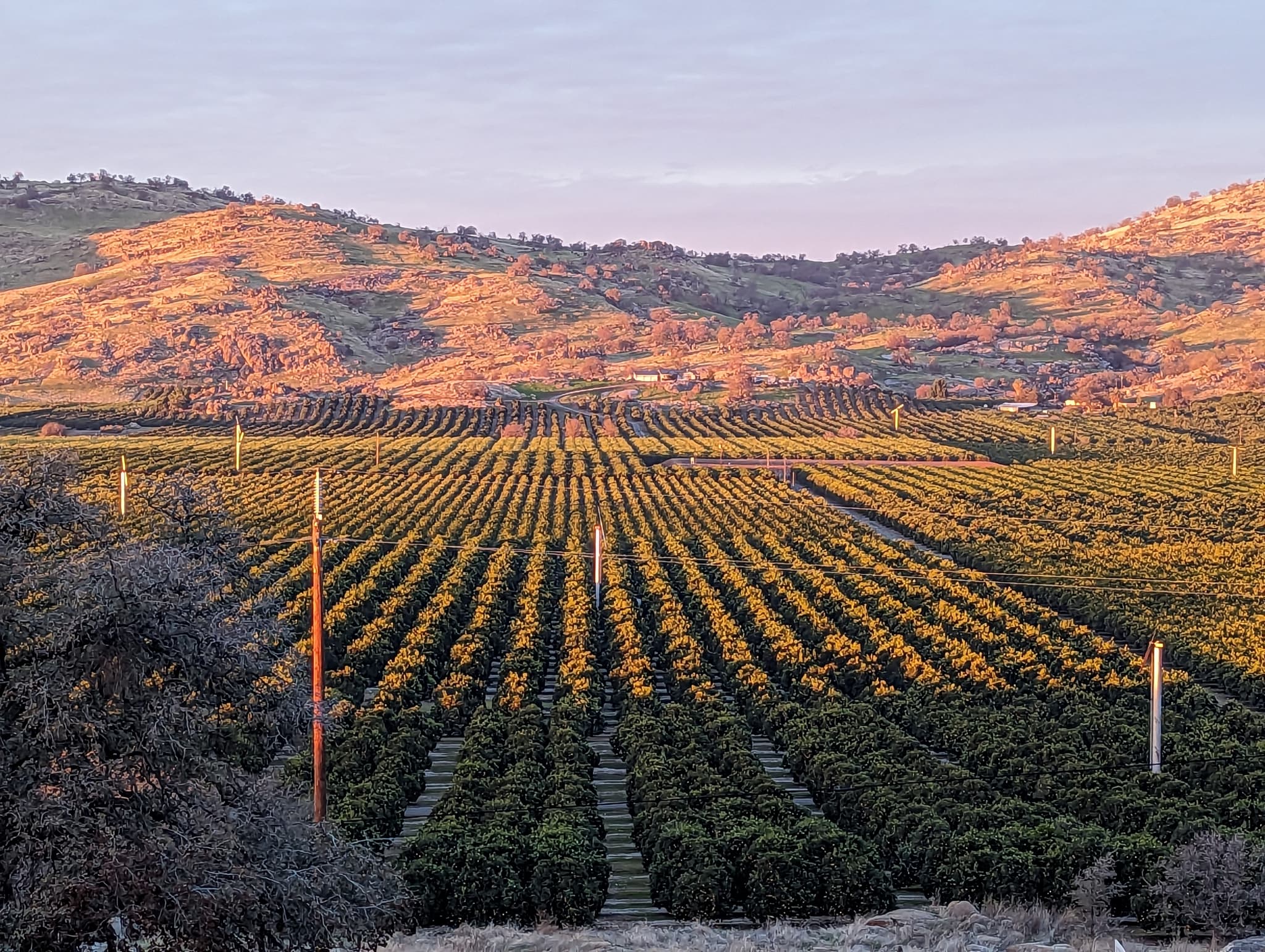Big Rocks Ranch's banner