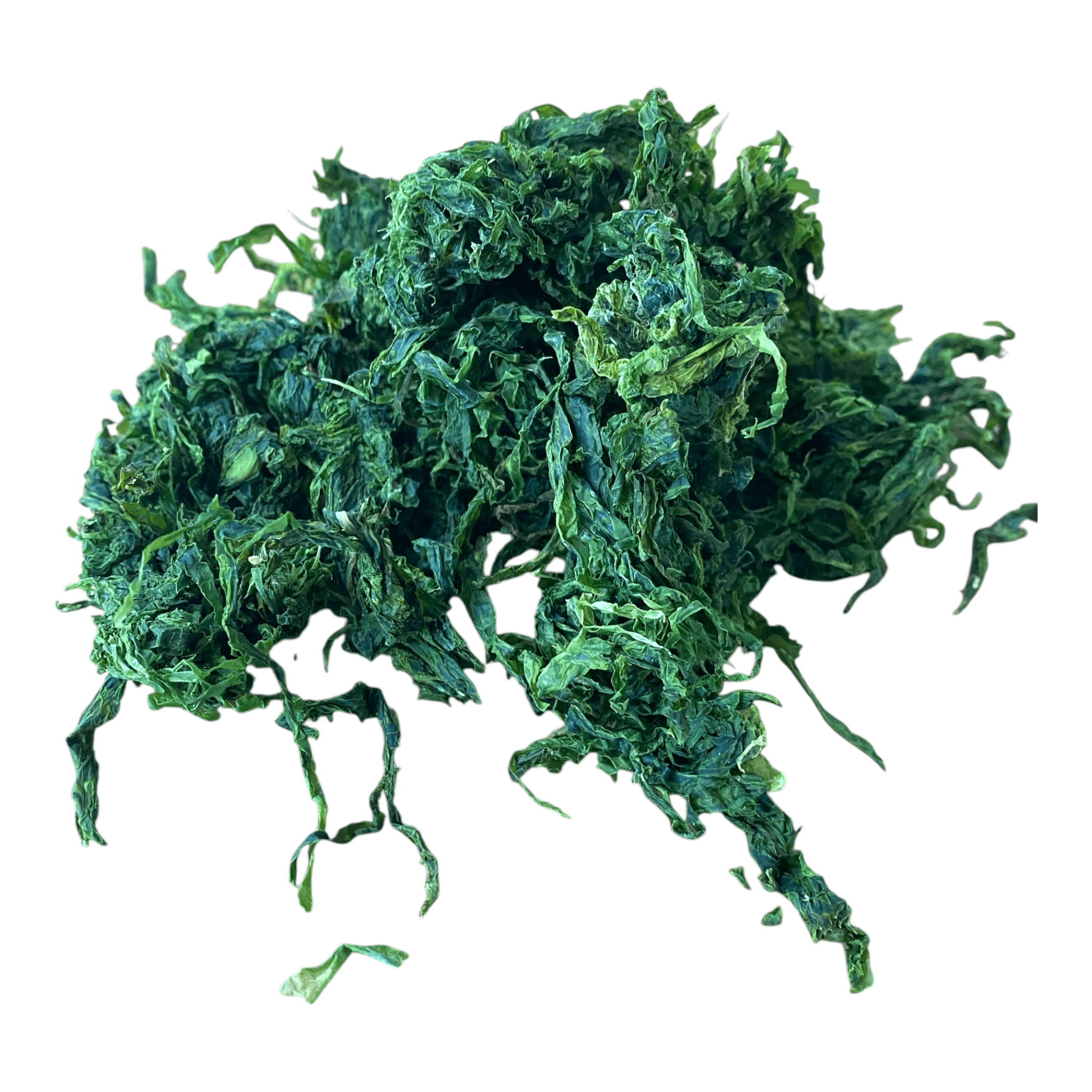 Product image #1