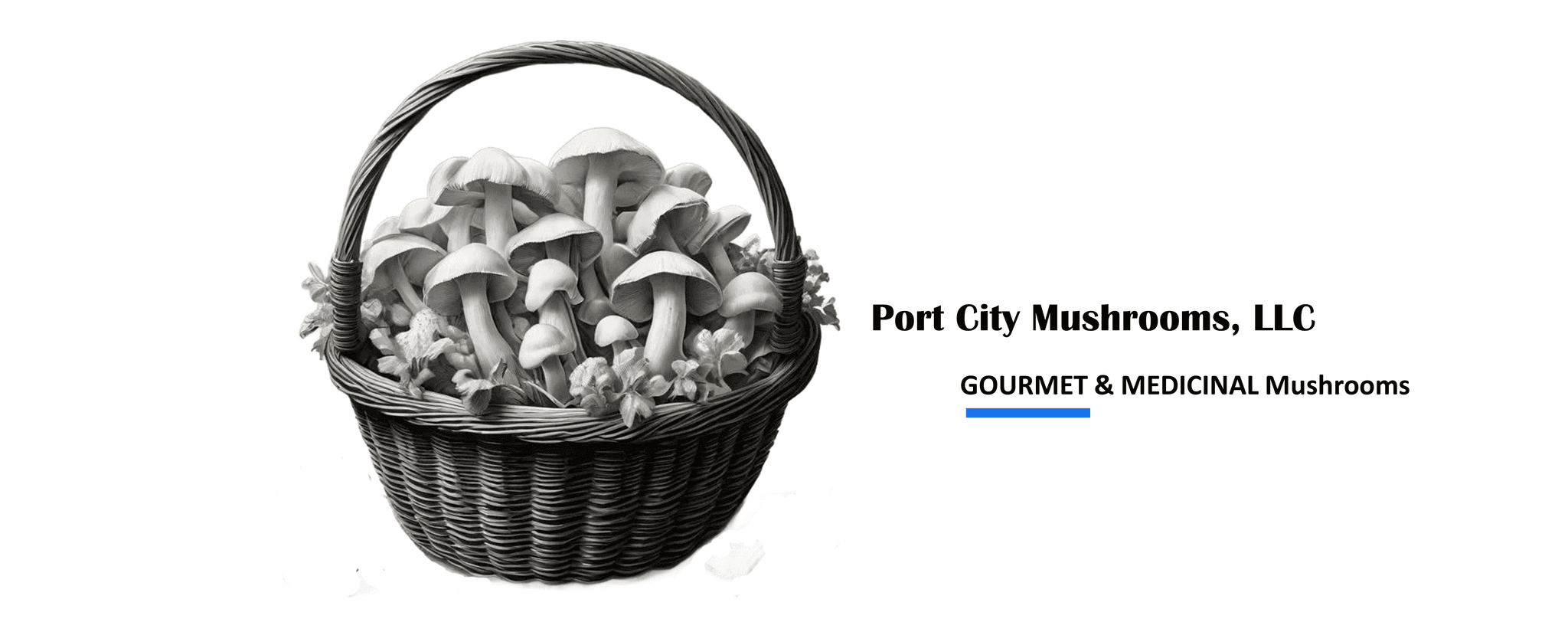 Port City Mushrooms, LLC's banner
