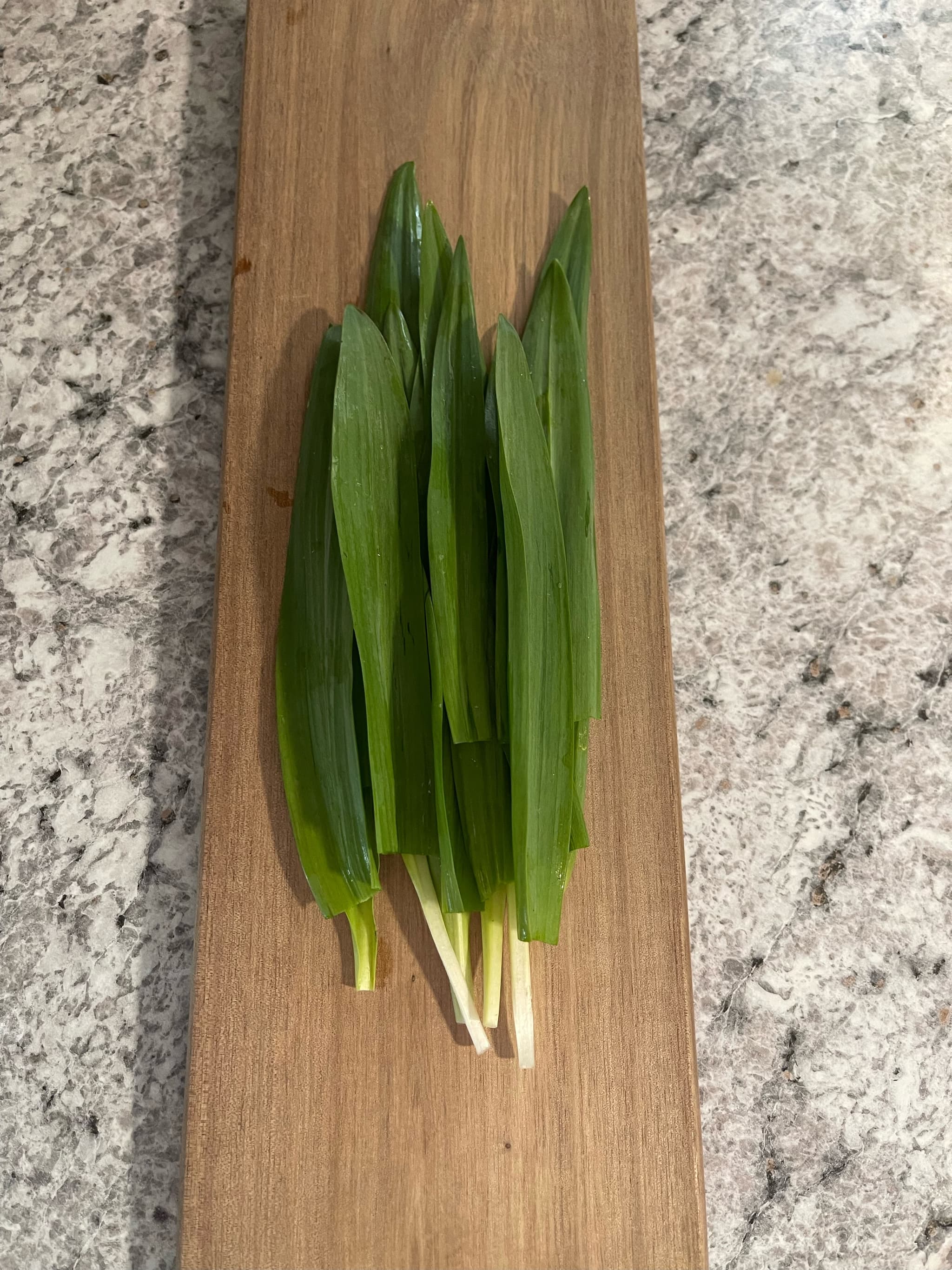 Product image #1