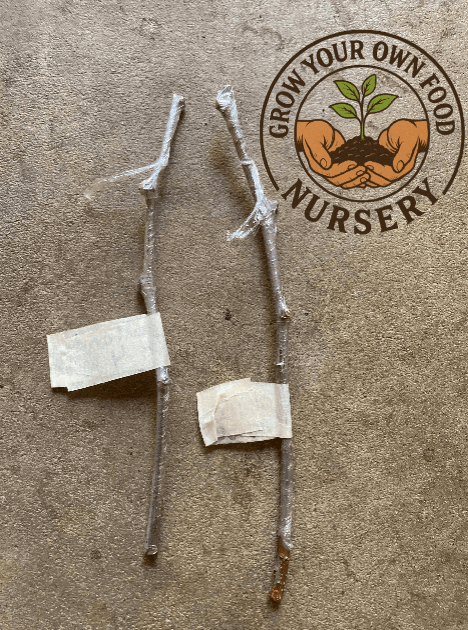 Product image #1