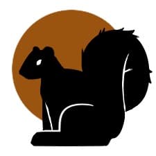 Black Squirrel Farms