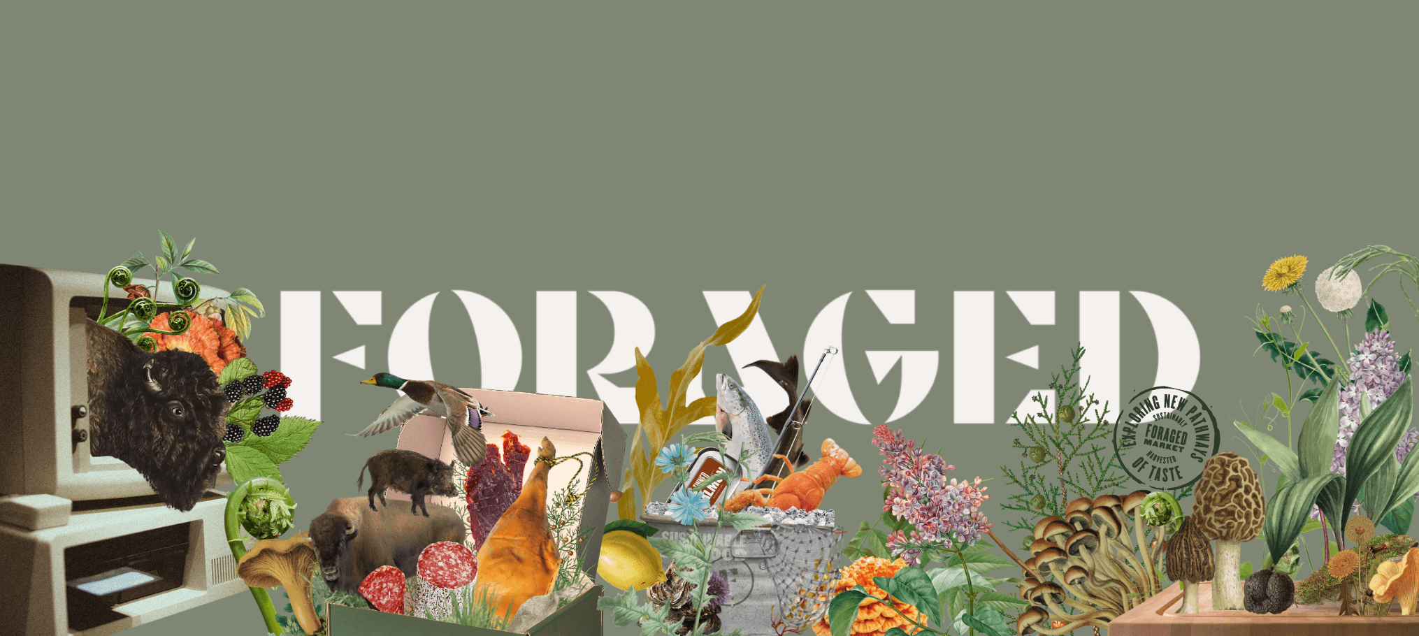 Foraged's banner