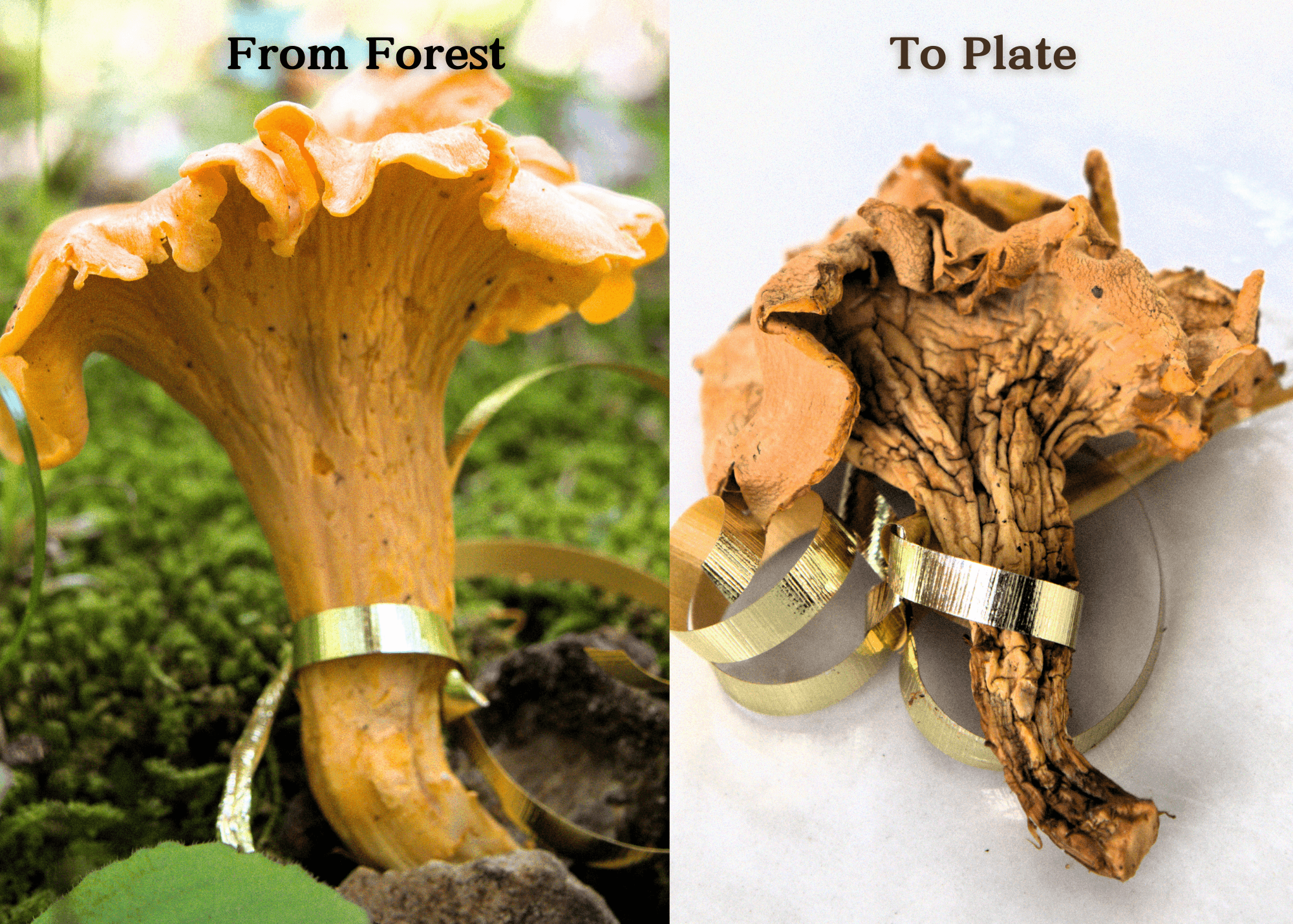 Product image #6