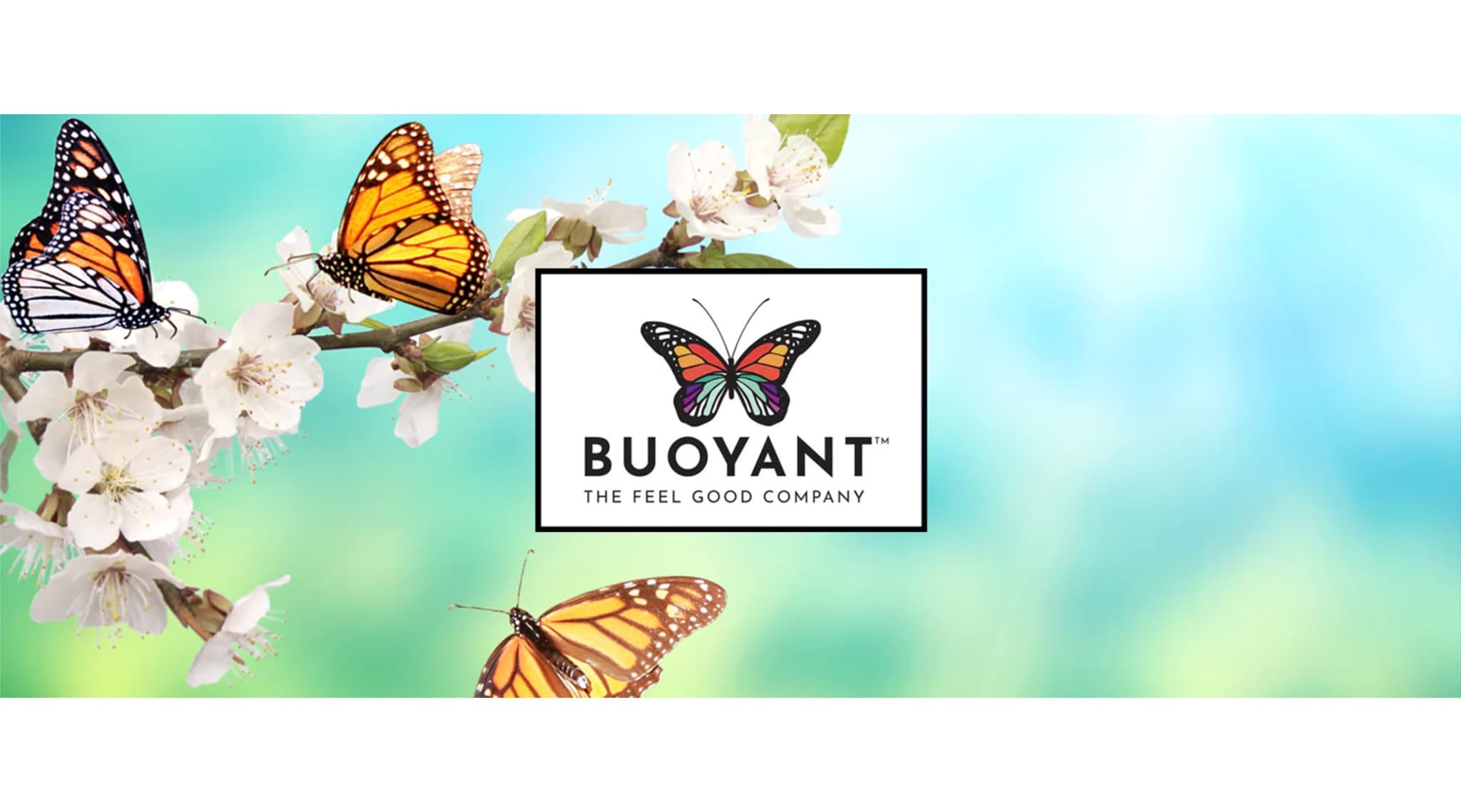 Buoyant Chocolates & Superfoods's banner
