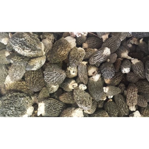 Fresh Black Morel Mushrooms