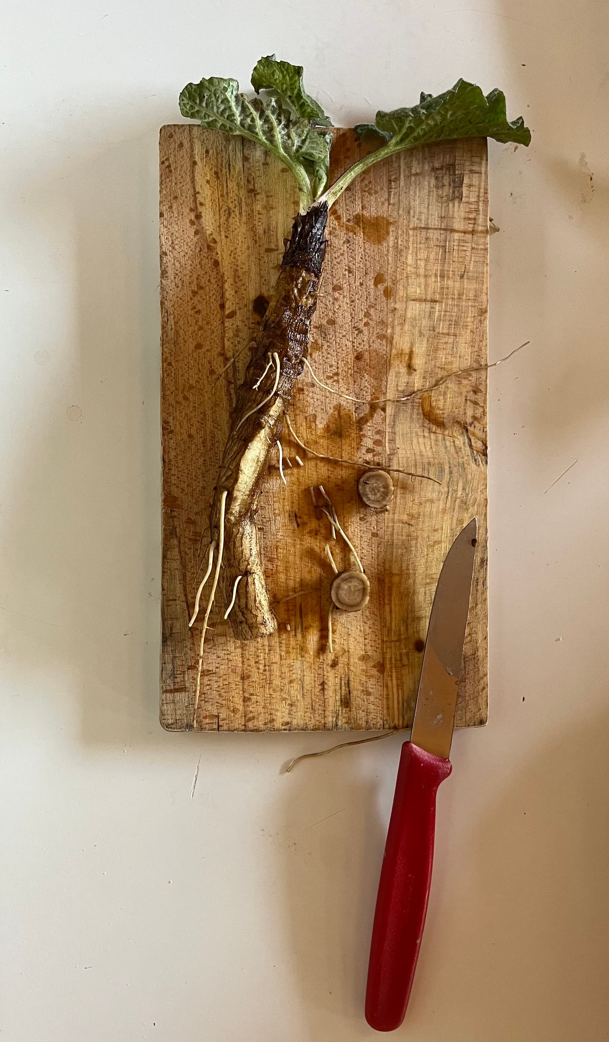 Product image #1