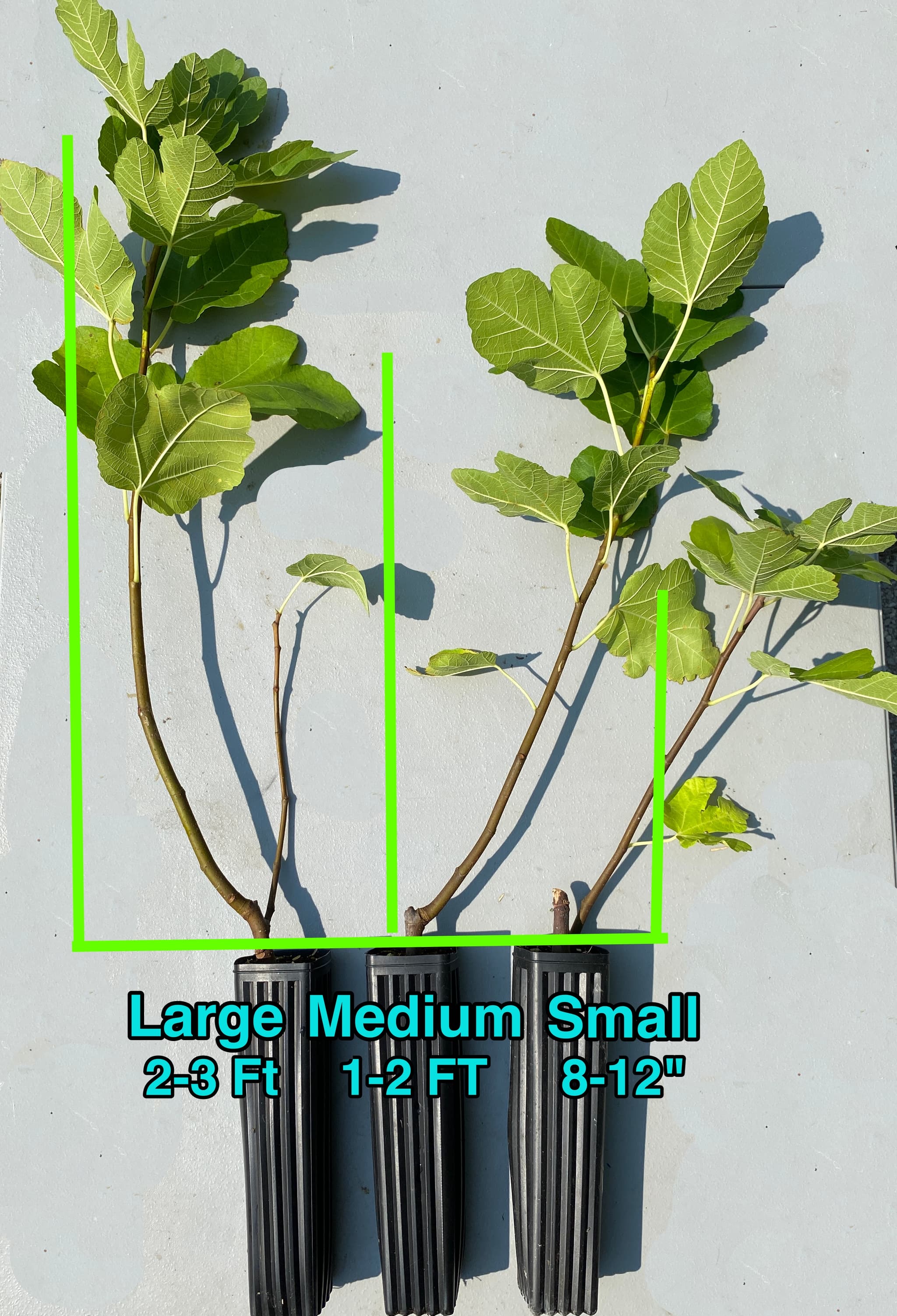 Product image #4