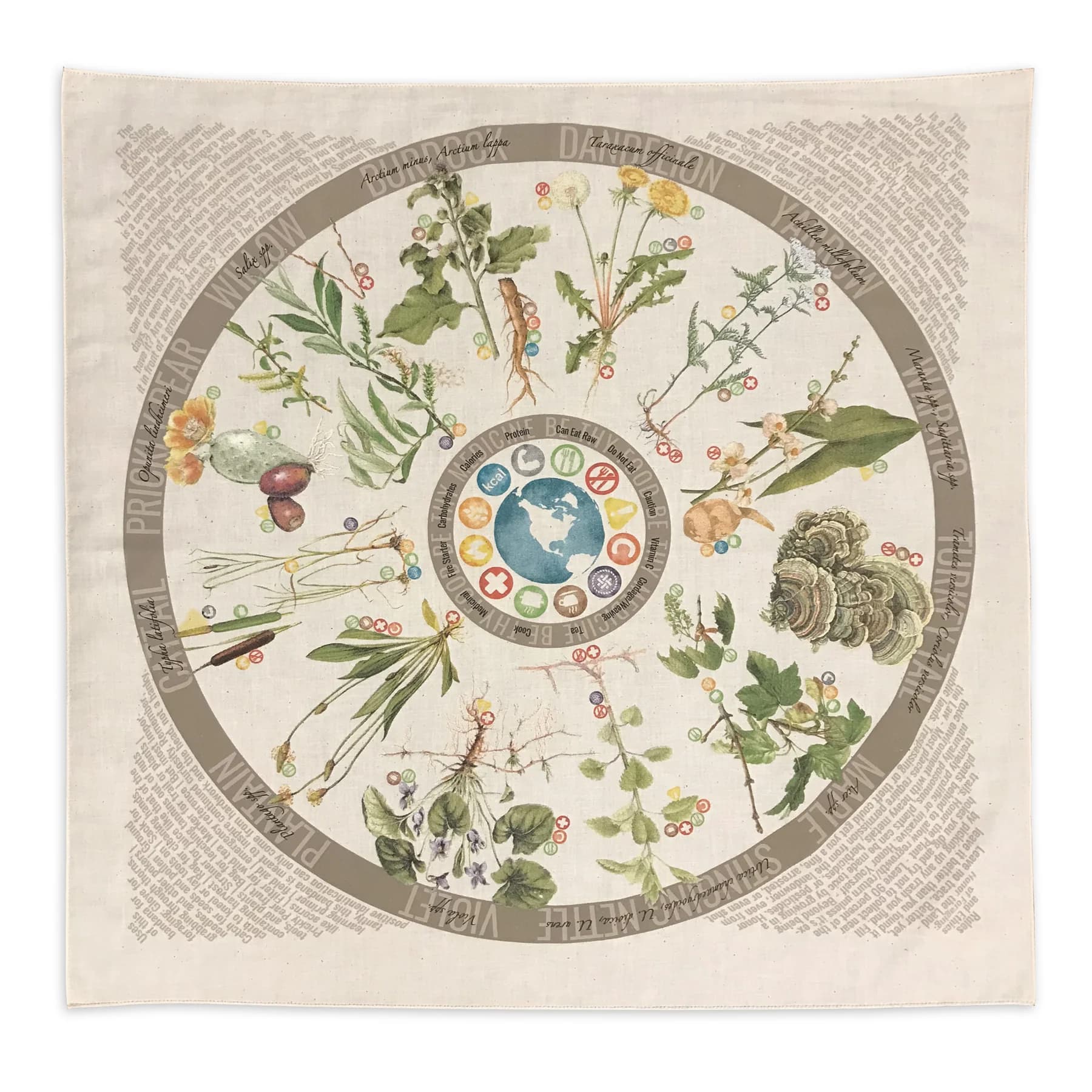 Product image #3