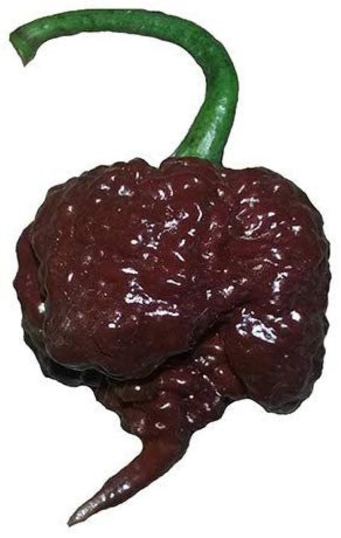 Product image #1