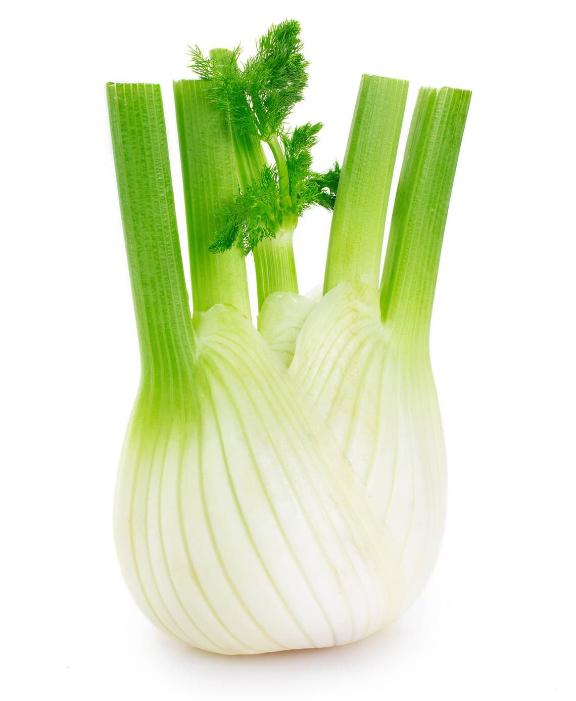 Product image #1