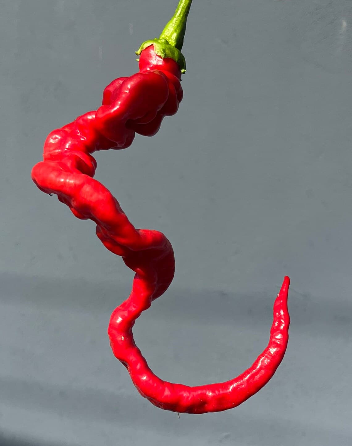 Product image #1