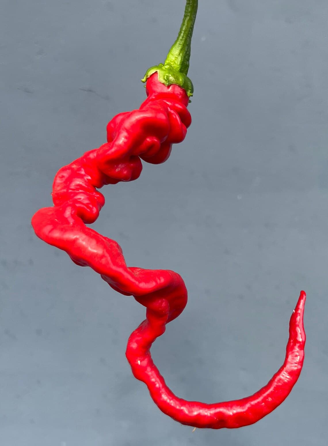 Product image #2