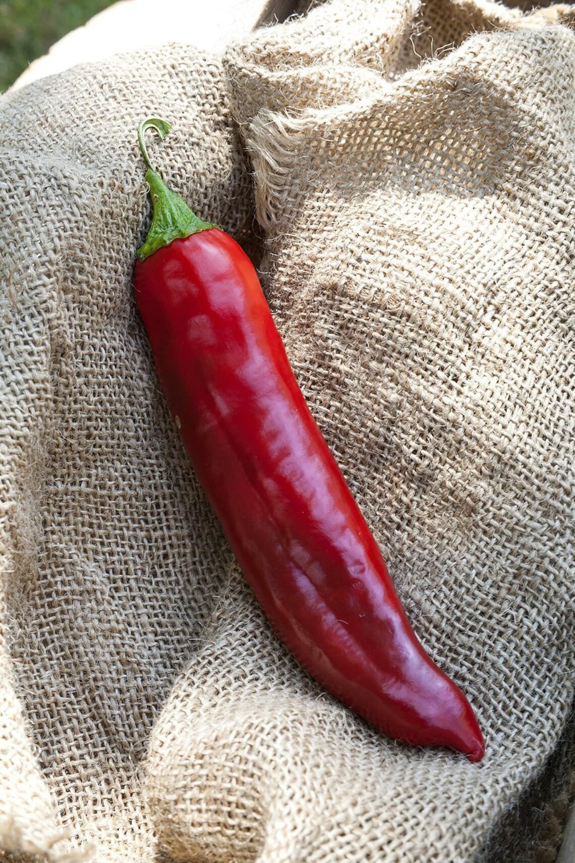 Product image #1
