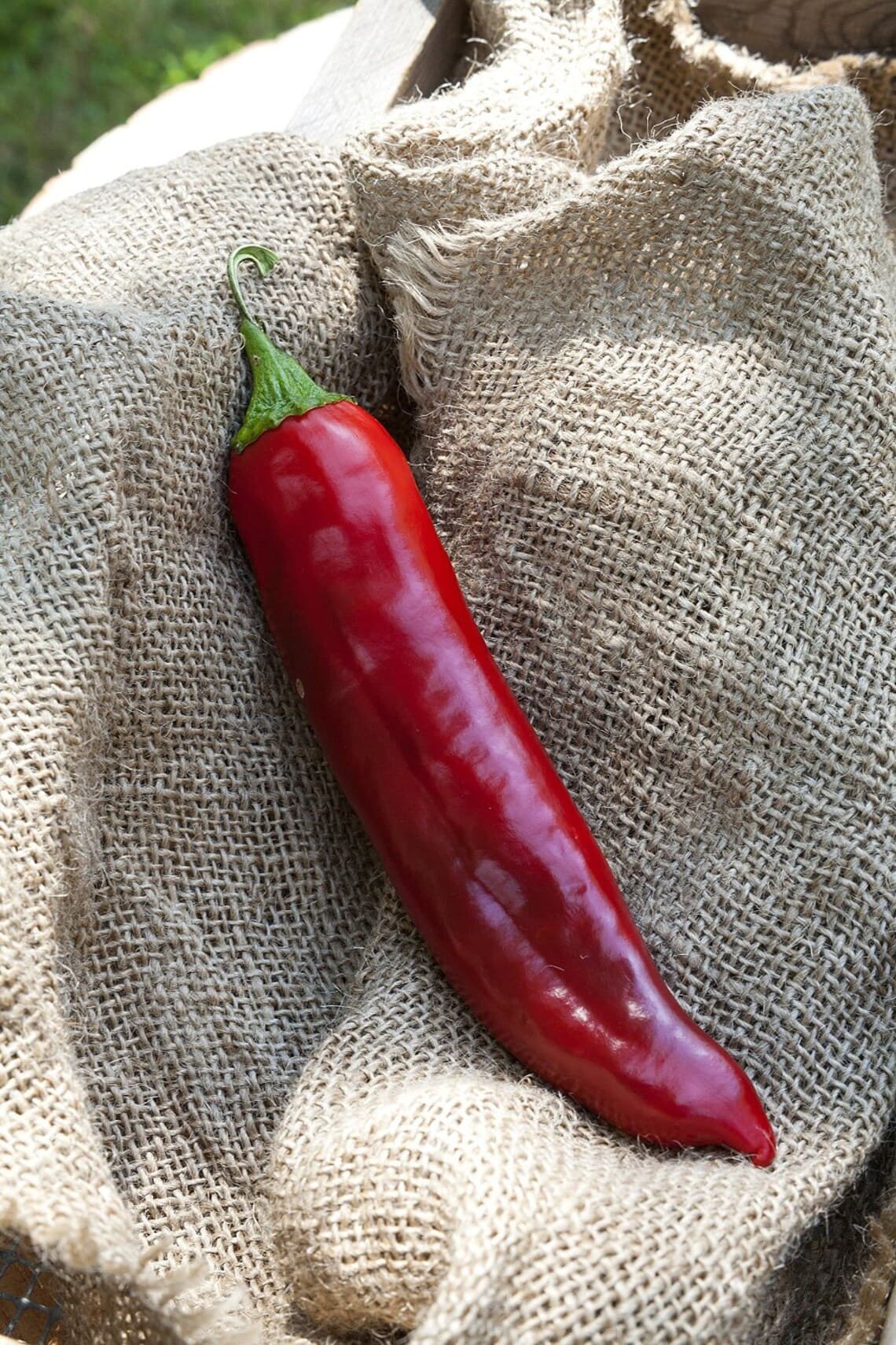 Product image #2