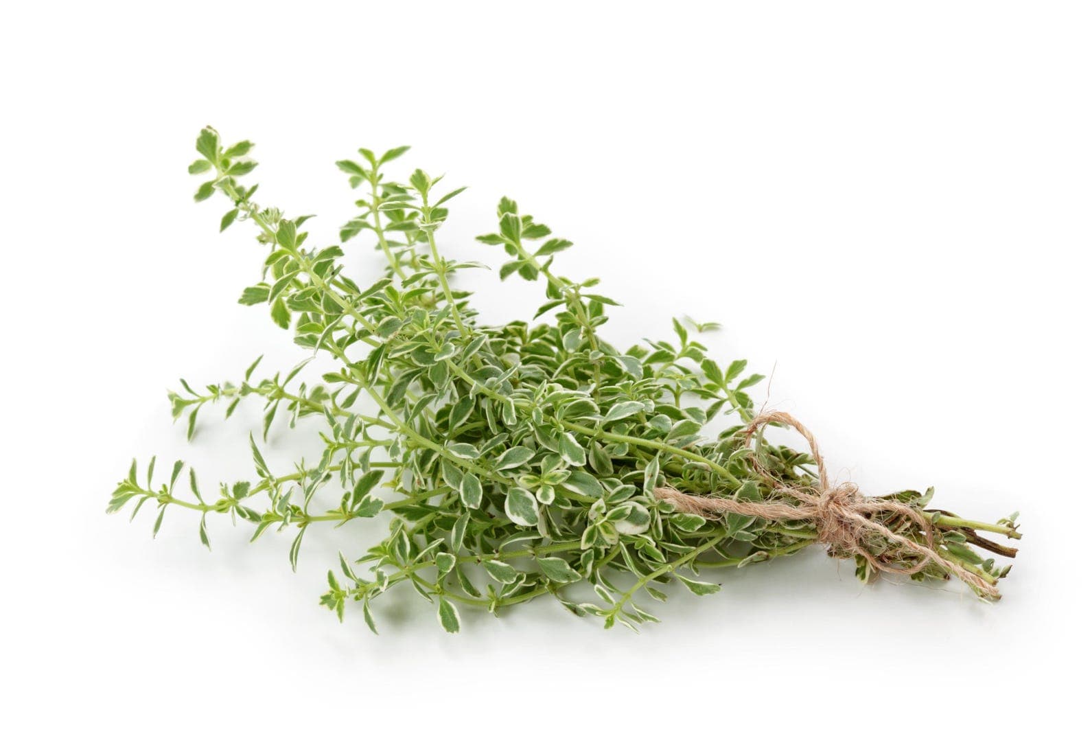 Product image #1