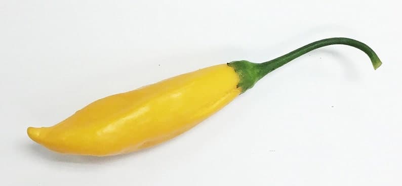 Product image #1