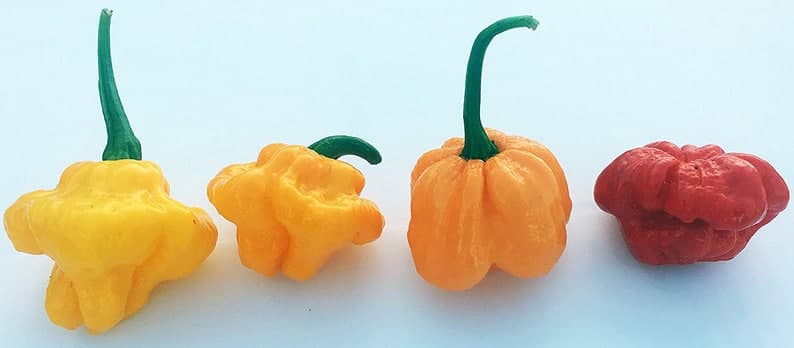 Product image #2