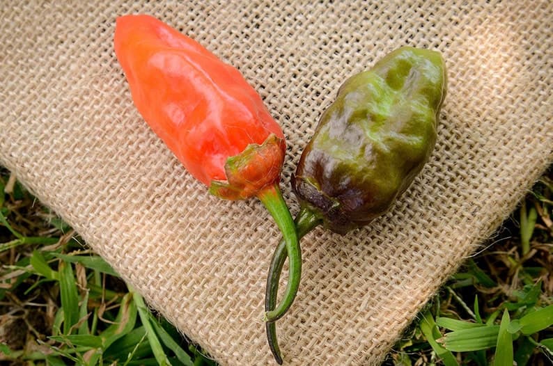 Product image #3