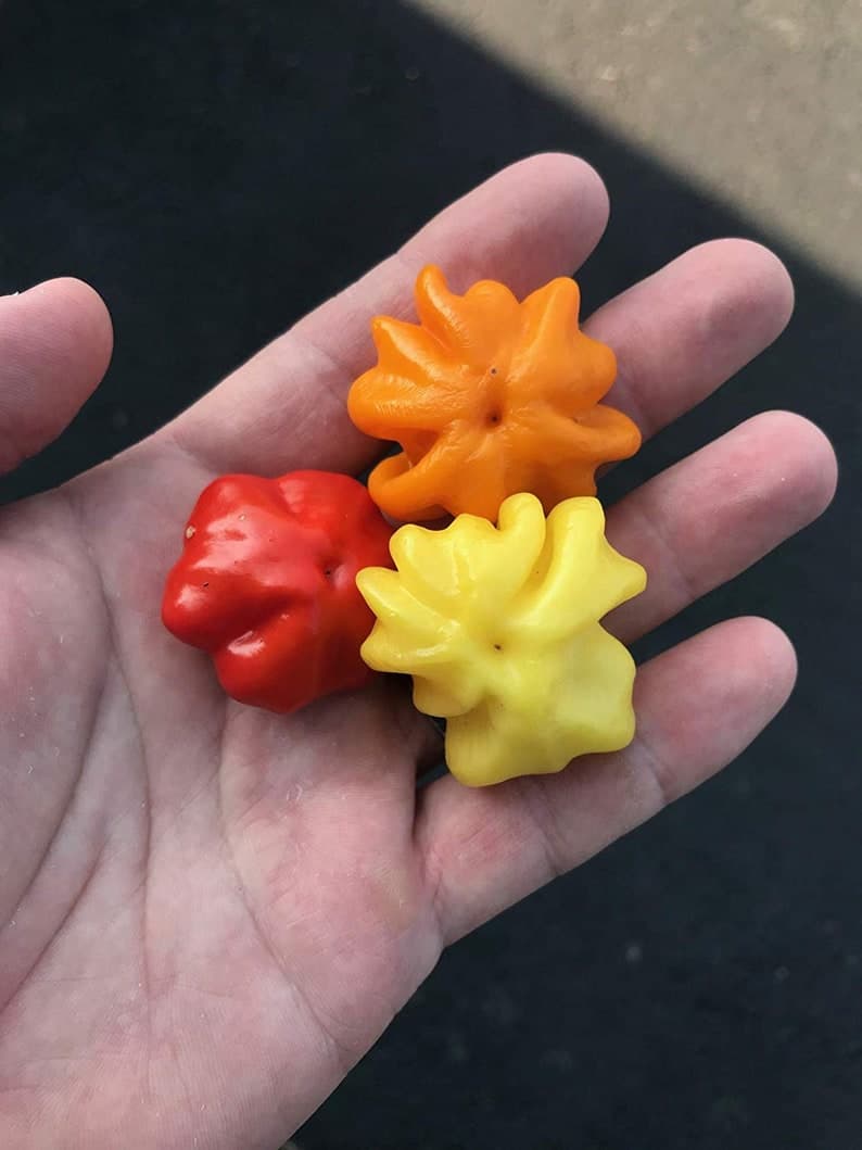Product image #2