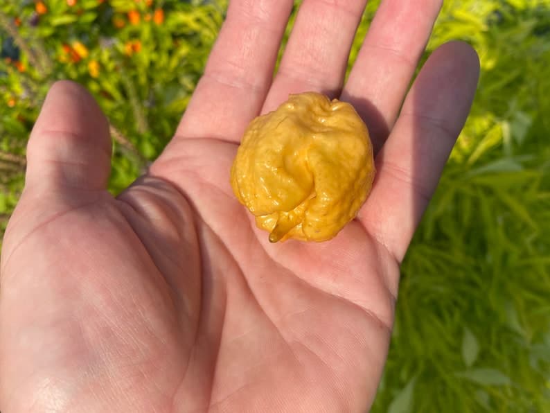 Product image #3