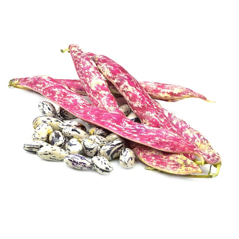 Product image #1