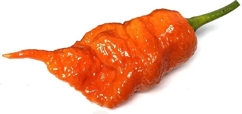 Product image #1