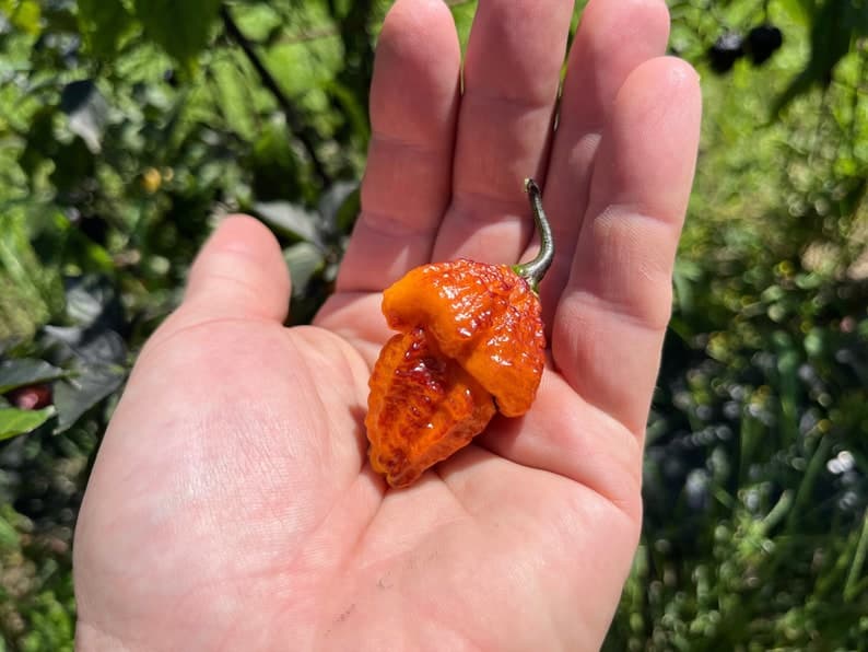 Product image #1