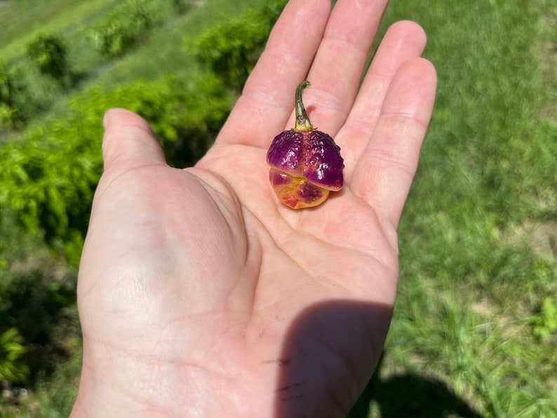 Product image #1