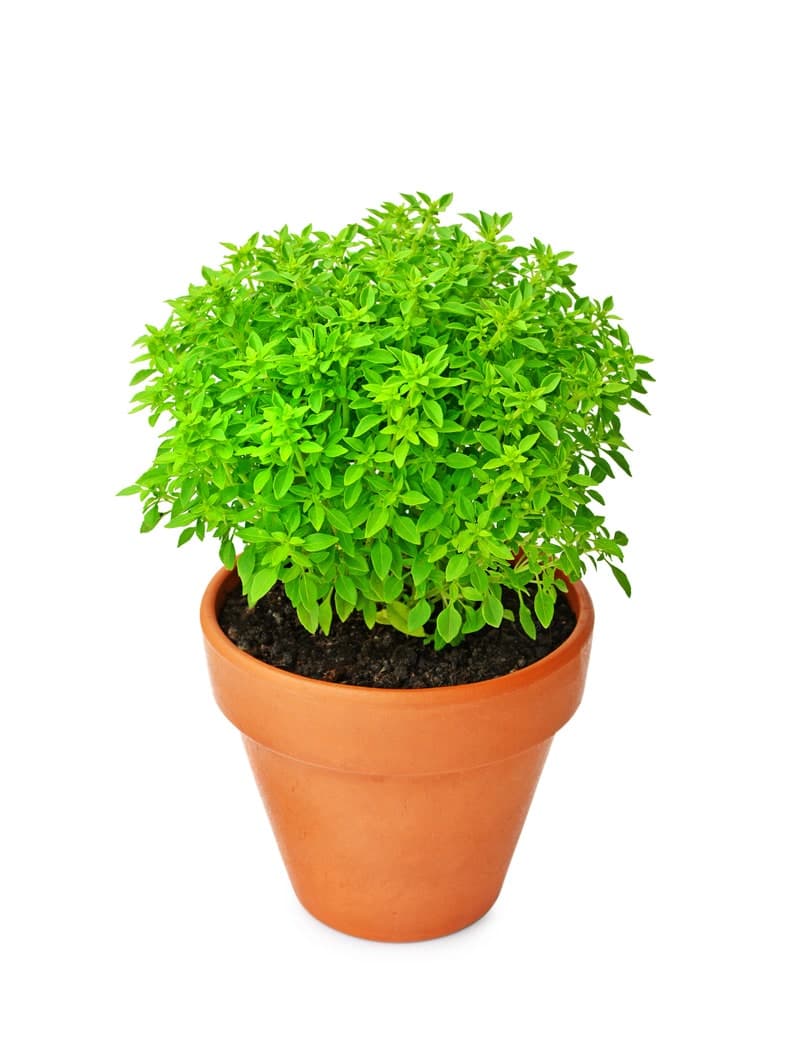 Product image #1